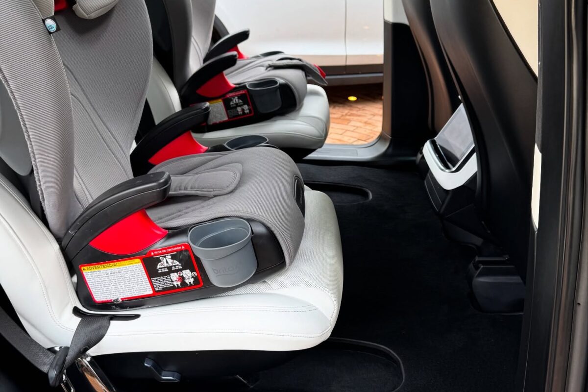 Pet hair removal from car seats during interior detailing in Richmond, CA